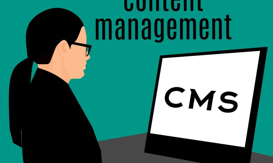 Vorsicht vor Älteren WordPress Plugins für Aktuelle CMS Systeme